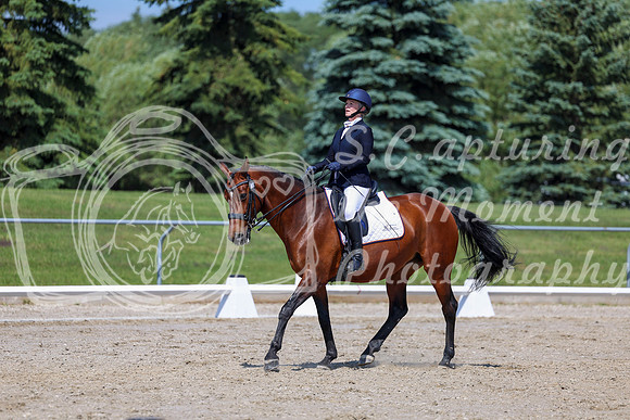 2025 - Dressage Festival - Saturday July 5th - 05653