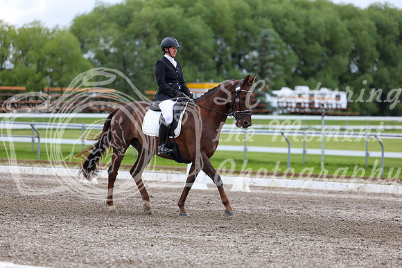 2025 - Dressage Festival - Sunday July 6th - 09583