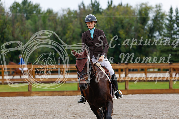 2025 - Haylee - Picco Horse Show - Sunday July 27th 00877