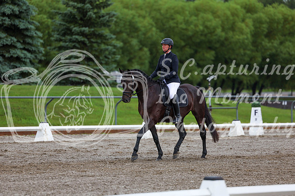 2025 - Dressage Festival - Sunday July 6th - 01879