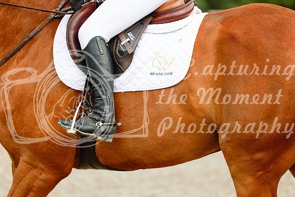 2025 - Haylee - Picco Horse Show - Saturday July 26th 09196