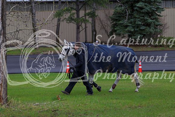 2025 - Shea - Bow Valley II - Thursday May 15th - 00479
