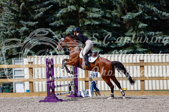 2025 - Haylee - Picco Horse Show - Thursday July 24th 02234