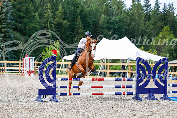 2025 - Haylee - Picco Horse Show - Thursday July 24th 01599