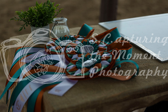 2025 - Shea - Teesdale - Saturday July 26th - 12841