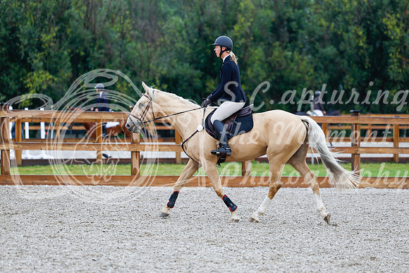 2025 - Haylee - Picco Horse Show - Sunday July 27th 00452