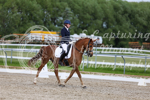 2025 - Dressage Festival - Saturday July 5th - 11859
