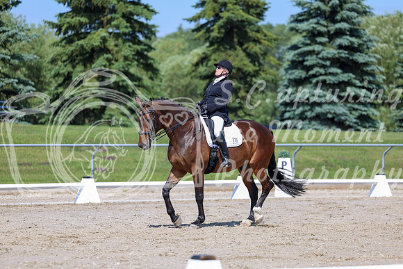 2025 - Dressage Festival - Saturday July 5th - 05275