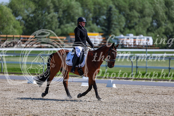 2025 - Dressage Festival - Saturday July 5th - 05161
