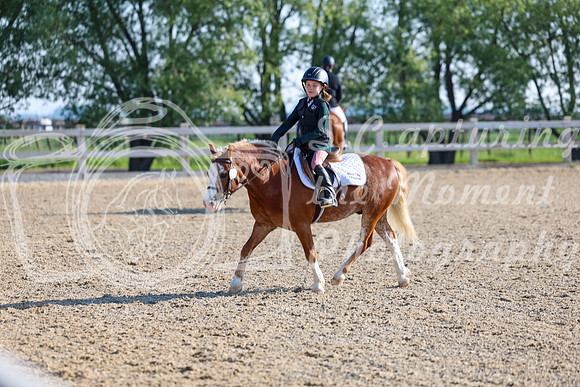 2025 - Dressage Festival - Saturday July 5th - 00001