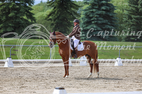 2025 - Dressage Festival - Saturday July 5th - 14141