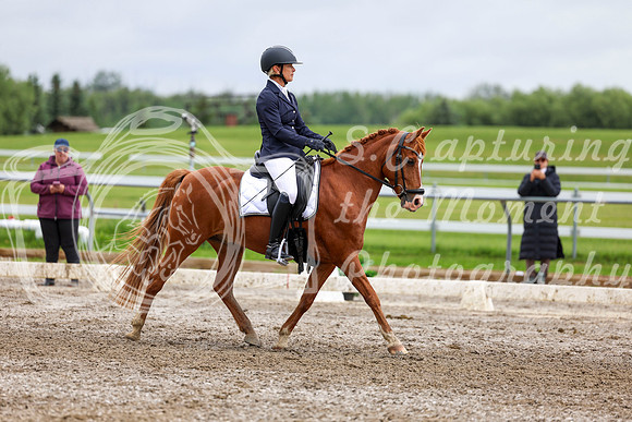 2025 - Dressage Festival - Sunday July 6th - 12221