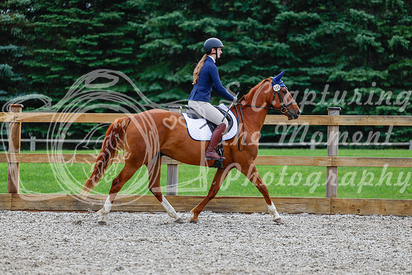 2025 - Haylee - Picco Horse Show - Saturday July 26th 01742