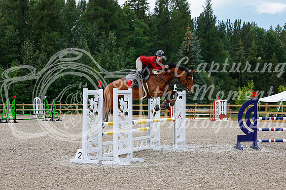 2025 - Haylee - Picco Horse Show - Thursday July 24th 02943