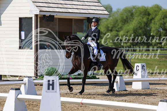 2025 - Dressage Festival - Saturday July 5th - 03752