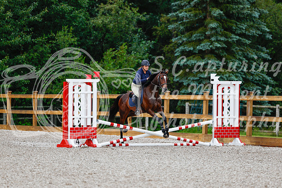 2025 - Haylee - Picco Horse Show - Friay July 25th 00064