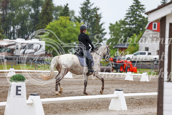 2025 - Dressage Festival - Sunday July 6th - 02149