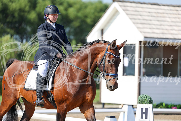 2025 - Dressage Festival - Saturday July 5th - 00964