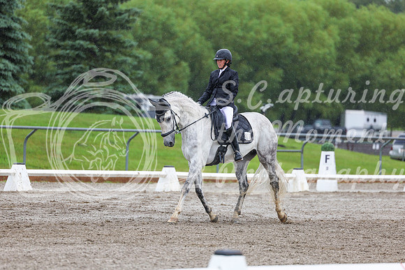 2025 - Dressage Festival - Sunday July 6th - 03866