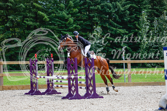 2025 - Haylee - Picco Horse Show - Sunday July 27th 03949