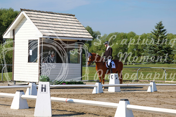 2025 - Dressage Festival - Saturday July 5th - 01635
