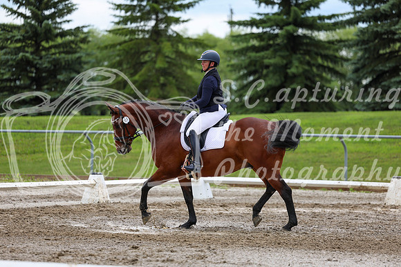 2025 - Dressage Festival - Sunday July 6th - 11807