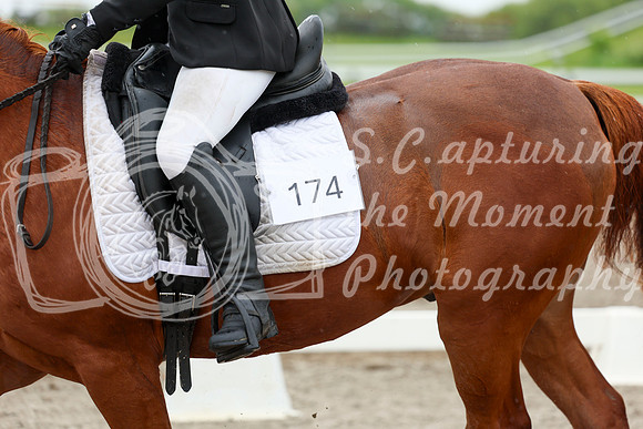 2025 - Dressage Festival - Sunday July 6th - 06086