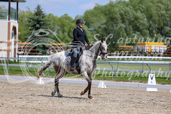 2025 - Dressage Festival - Saturday July 5th - 09006