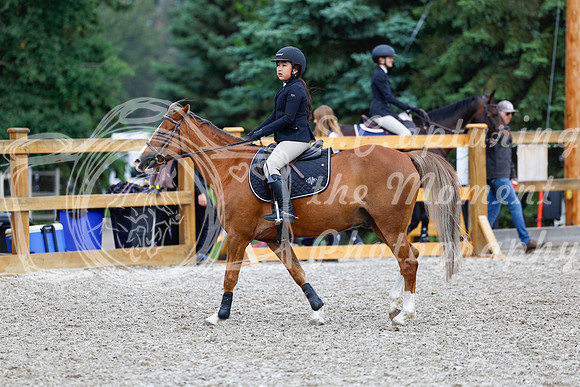 2025 - Haylee - Picco Horse Show - Saturday July 26th 02396