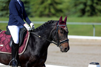 2025 - Dressage Festival - Saturday July 5th - 00658