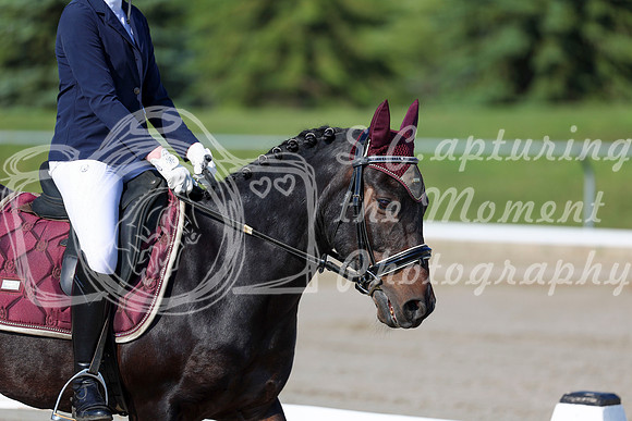 2025 - Dressage Festival - Saturday July 5th - 00658