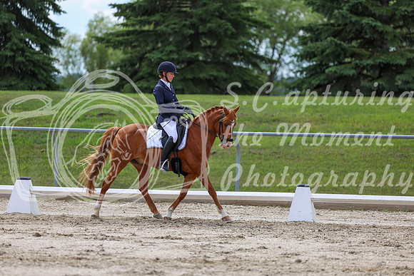 2025 - Dressage Festival - Saturday July 5th - 13804