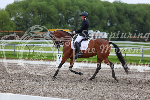2025 - Dressage Festival - Sunday July 6th - 06580