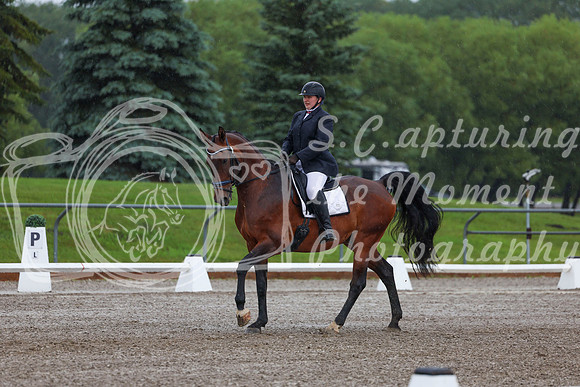2025 - Dressage Festival - Sunday July 6th - 00346