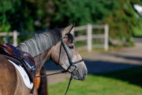 2025 - Haylee - Picco Horse Show - Thursday July 24th 00004