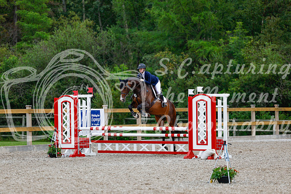 2025 - Haylee - Picco Horse Show - Sunday July 27th 03774