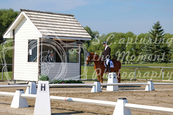2025 - Dressage Festival - Saturday July 5th - 01634