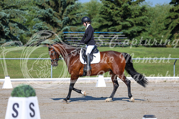 2025 - Dressage Festival - Saturday July 5th - 01271