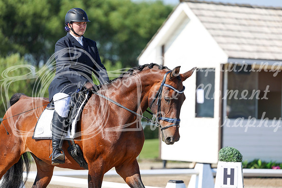 2025 - Dressage Festival - Saturday July 5th - 00962