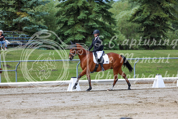 2025 - Dressage Festival - Saturday July 5th - 07375