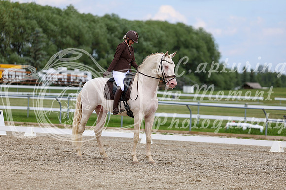 2025 - Dressage Festival - Saturday July 5th - 12088