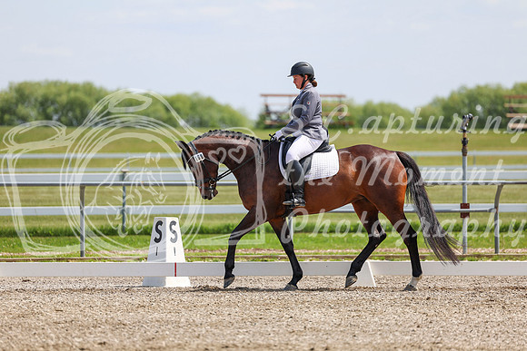 2025 - Dressage Festival - Saturday July 5th - 07043