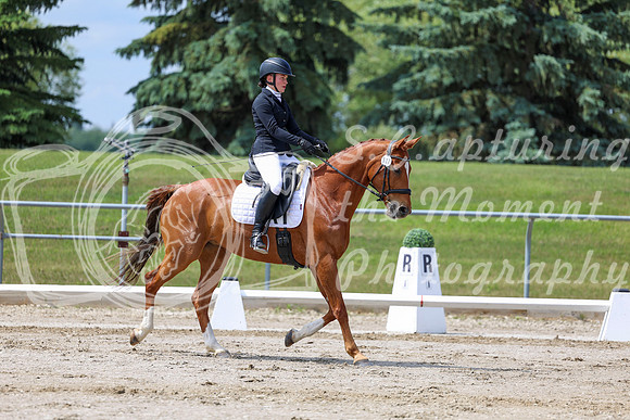 2025 - Dressage Festival - Saturday July 5th - 07875