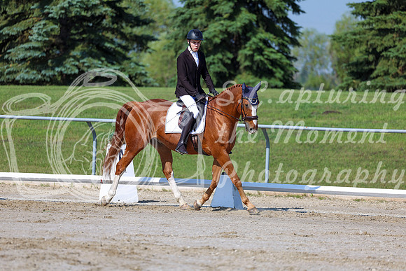 2025 - Dressage Festival - Saturday July 5th - 01707
