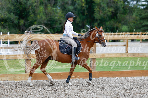 2025 - Haylee - Picco Horse Show - Friay July 25th 01306