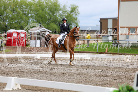 2025 - Dressage Festival - Sunday July 6th - 11076