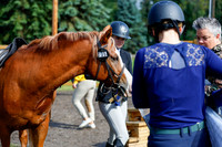2025 - Haylee - Picco Horse Show - Sunday July 27th 02397