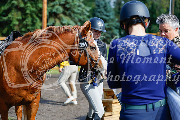2025 - Haylee - Picco Horse Show - Sunday July 27th 02397