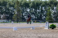 2025 - Dressage Festival - Saturday July 5th - 02359