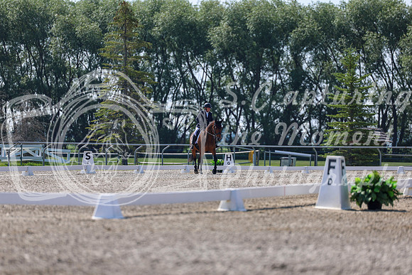 2025 - Dressage Festival - Saturday July 5th - 02359